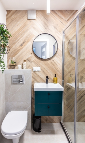 Copy of in blog photo-22 small bathroom shower door ideas